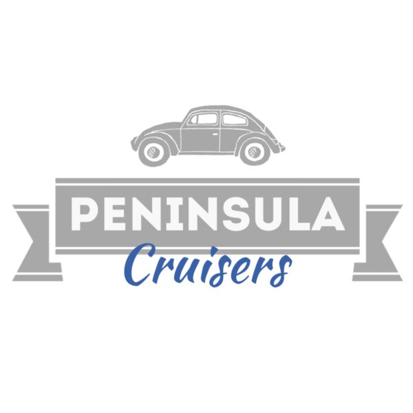 MPVWC ALT BUG BLK Thumbnail